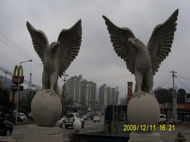 29177905b19022dbf50299e18a3f660f_1715058099_5238.jpg